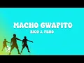 Lagu Macho Gwapito - Rico J. Puno (Lyric Visuals)