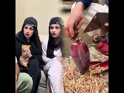 ٣١ أغسطس ٢٠٢٦