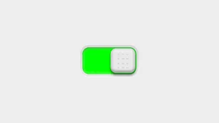Create Animated Toggle Switch Using HTML CSS Only No JavaScript