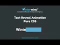 Text Reveal Animation with CSS