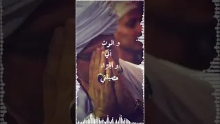 شباب عمري ضيعته لياليه التهامي ياسين التهامي 