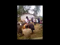 Lagu Mi Laik Wakabaut Lutheran Lotu Buk Song PNG Gospel