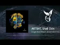 ARTBAT, Shall Ocin feat. braev - Origin (Original Mix) [UPPERGROUND]