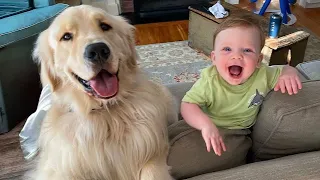 When Dogs and Babies Have Way Too Much Fun Together! 🤣