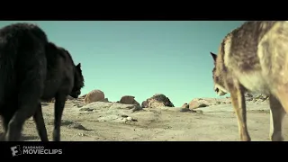 فلم الرجل والذءب الحلقه الاوله ١٠ ١ 