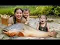 Download Lagu Catching a Huge School of Fish on a Rainy Day – Cooking Fresh Fish with My Children