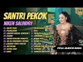 Santri Pekok - Niken Salindri Full Album 2023