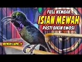 Download Lagu SUARA BURUNG KOLIBRI NINJA GACOR FULL TEMBAKAN MEWAH !! PANCINGAN KONIN AGAR CEPAT BONGKAR ISIAN