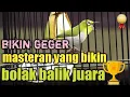 Download Lagu Masteran pleci NEMBAK ZIPPER yang bikin juara