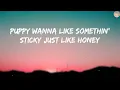 Ashnikko - STUPID (feat. Yung Baby Tate) (Lyrics) | Rihanna, Doja Cat,...