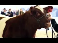 Livestock Evaluation CDE