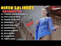 Download Lagu FULL ALBUM NIKEN SALINDRY TERBARU 2025 VIRAL | TUNGKEK MAMBAOK RABAH 2 | PLAYLIST TEMAN SANTAI