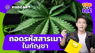 ทำไมการกินใบกัญชาสดจึงไม่ทำให้เมา