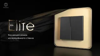Видео Рамка 1-постовая Werkel Elite дымчатая стекло