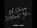 No Shape Without You - Shimza & LevyM