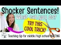 Sentence Strips