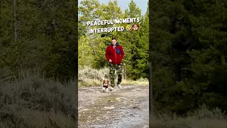 My husband and puppy were enjoying a nice walk until my puppy spotted me.