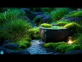 Relaxing Sleep Music to Relieve Anxiety 🌿Stress Relief, Water Sounds