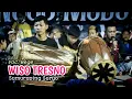 Download Lagu WISO TRESNO ( Sumuruping Suryo ) | Voc. Bege | Turonggo Mudo Original | Hamzah Audio