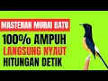 Lagu Kumpulan Suara Masteran Murai Batu Terbaru 2025 | Bikin Gacor Maksimal