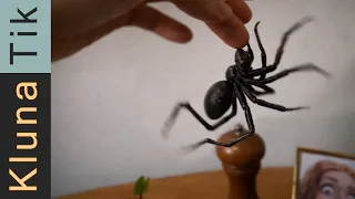 This Shouldn’t Be On My Finger - WILD & (S)Tingly ASMR