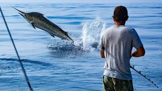 Marlin Fishing from our Catamaran Sailboat on the East Coast of Australia (Sailing Popao) Ep.26