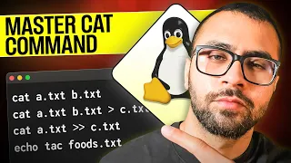Mastering the Cat Command in Linux A Comprehensive Guide for Beginners