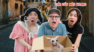 Giải Cứu Mèo Hoang Và Các Loài Động Vật Khỏi Người Ngoài Hành Tinh