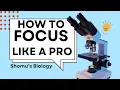 How to focus a microscope Microscope focusing steps How to use a microscope