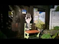 Rain Walk in Seoul Lonely Street. Relaxing Sound for Sleep Study Meditation. White Noise ASMR.