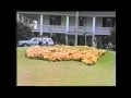 1981 Masters Memories