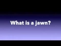 What is a jawn