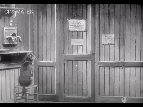 Médor au téléphone (Pathé Frères - 1907)