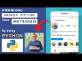 Download Profile Picture from Instagram By Using Python Mini - Project