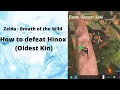 1 Zelda Breath of the Wild - How to defeat Hinox Oldest Kin on Mount Taran