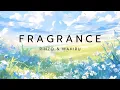Download Lagu Fragrance (フレグランス) - RINZO \u0026 Mahiru | English Lyrics |  Speed up