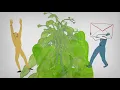 INCREASE I Become a Citizen Scientist