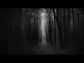 Bring Me The Horizon - Deathbeds (Extended Intro) - Cherryxepsi Exclusive