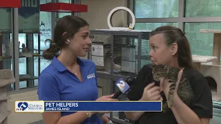 Clear the Shelters Hannah Baker live at Pet Helpers