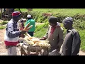 Churchill ft Cecile (Mahindi Choma video)