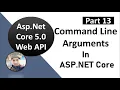 Application Configuration using Command Line Arguments ASP NET Core WEB API Tutorials