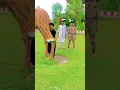 Download Lagu Main Pakistan Hoon 🇵🇰 Pakistan zindababad Pak army’s zindababad #shorts #youtubeshorts #shortvideo