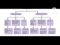 Colonoscopy procedure Indications CPT guidelines