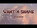 Download Lagu Leyla Blue - What a Shame (lyrics)