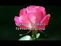 Lagu MAWAR BERDURI - FAVOURITEs GROUP - lirik
