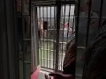 Getting locked inside a cell in the West Virginia Penitentiary in Moundsville WV 8-31-21
