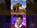 Lagu Thailand birth control vaccine on elephants| #shorts #animals #elephant #thailand #viral #usa
