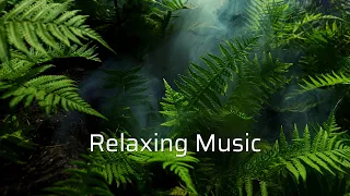 Download RELAXING MUSIC - Elegy-Asher Fulero - MUSIC FOR SLEEP - MEDITATION MUSIC MP3