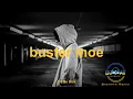 Buster Moe - I'm So Sick (DJ Cat Bachata Remix)
