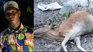 SHEHA WA MAZIWAG OMBE AFUNGUKA KUFATIA KUFA KWA NG OMBE WA MJANAWE 